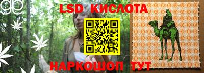 гидропоника Канаш