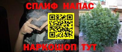 гидропоника Канаш