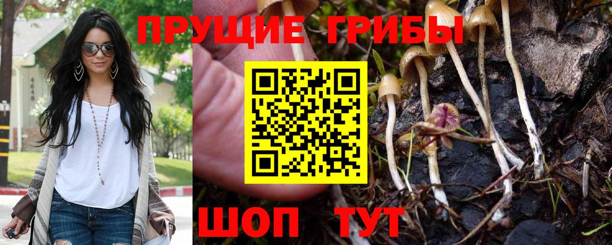 Щёкино  Галлюциногенные грибы GOLDEN TEACHER  Вход с VPN 